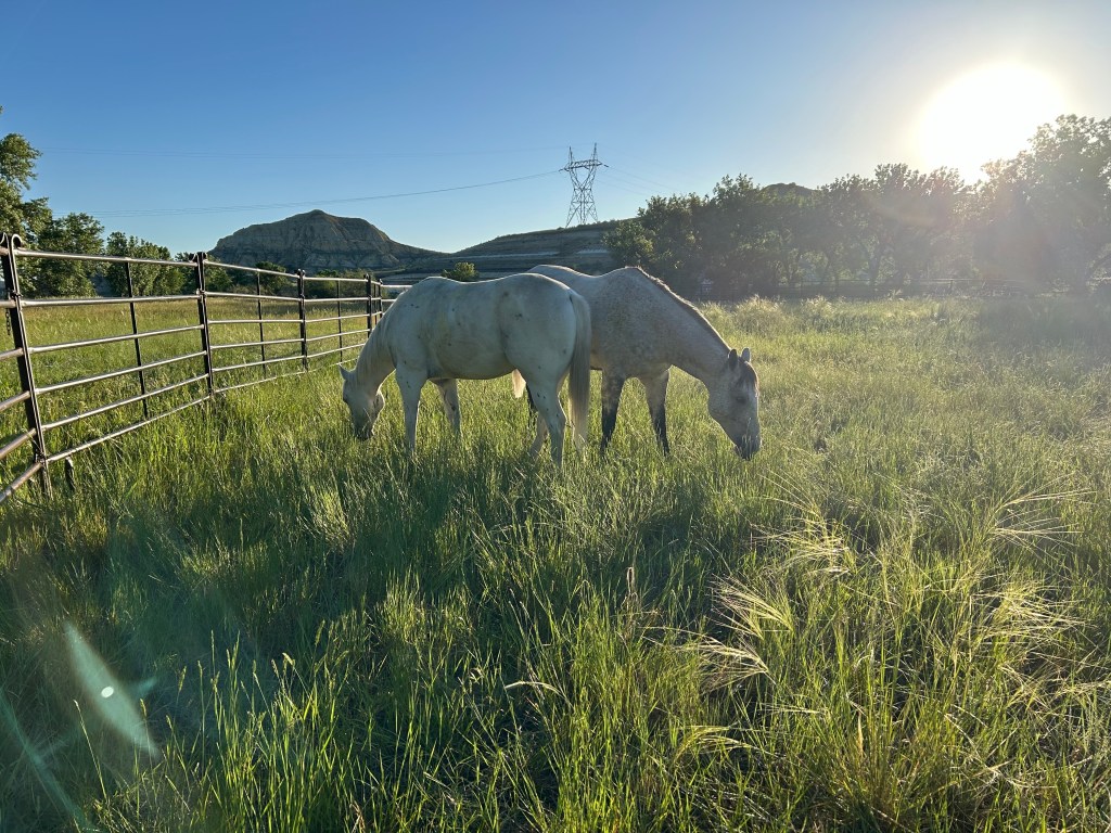 Comfort in the&nbsp;Valley